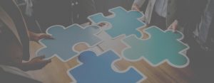 political consulting, international affairs, advocacy advertising, grassroots coalition building, crisis management, public affairs campaign management,